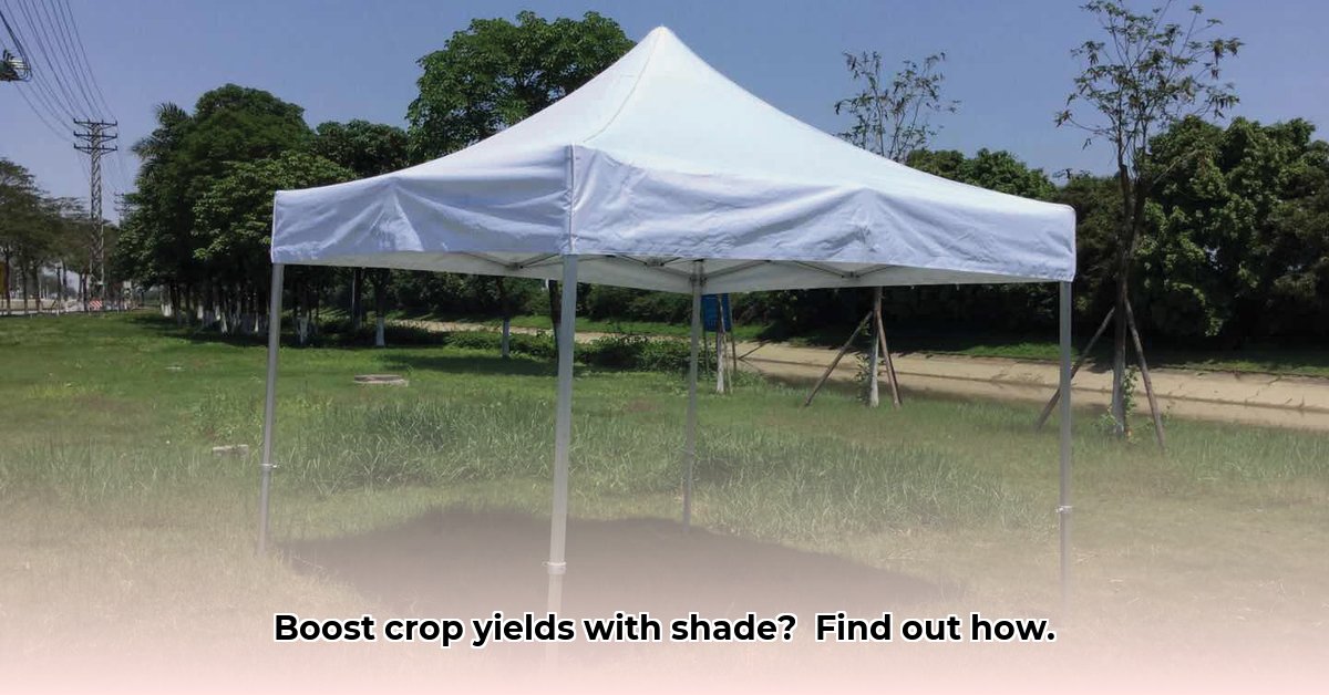 tractor-supply-10x10-canopy